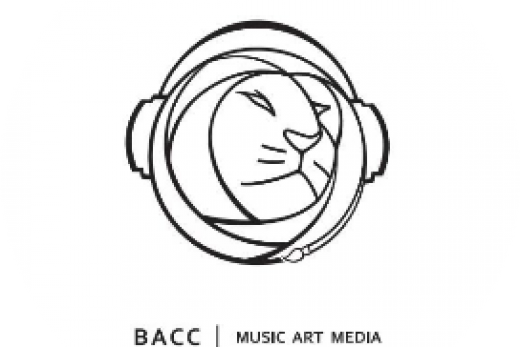 BACC国际艺术留学-留皇叔VR