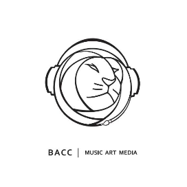BACC国际艺术留学-留皇叔VR
